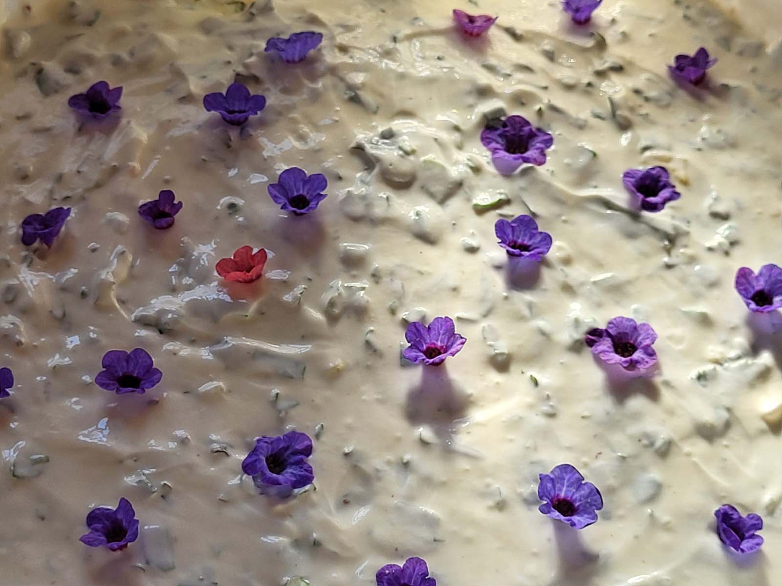 Sollinger Waldküche, 2025